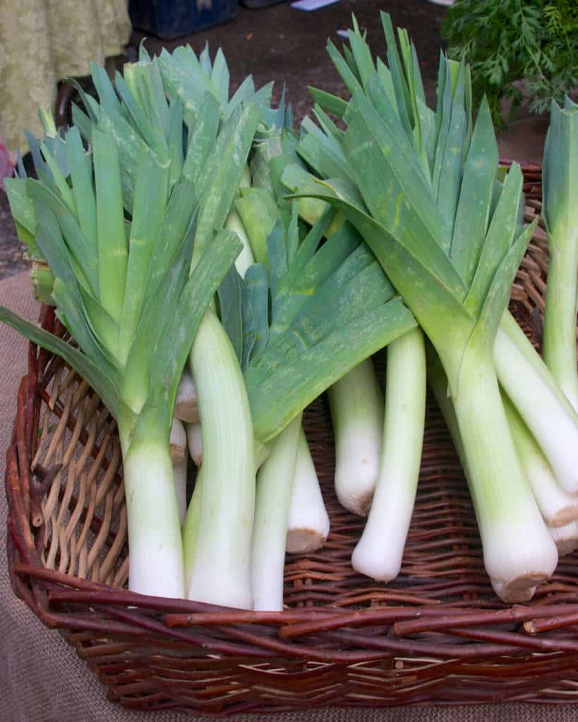 mini potatoes recipe Ontario produce