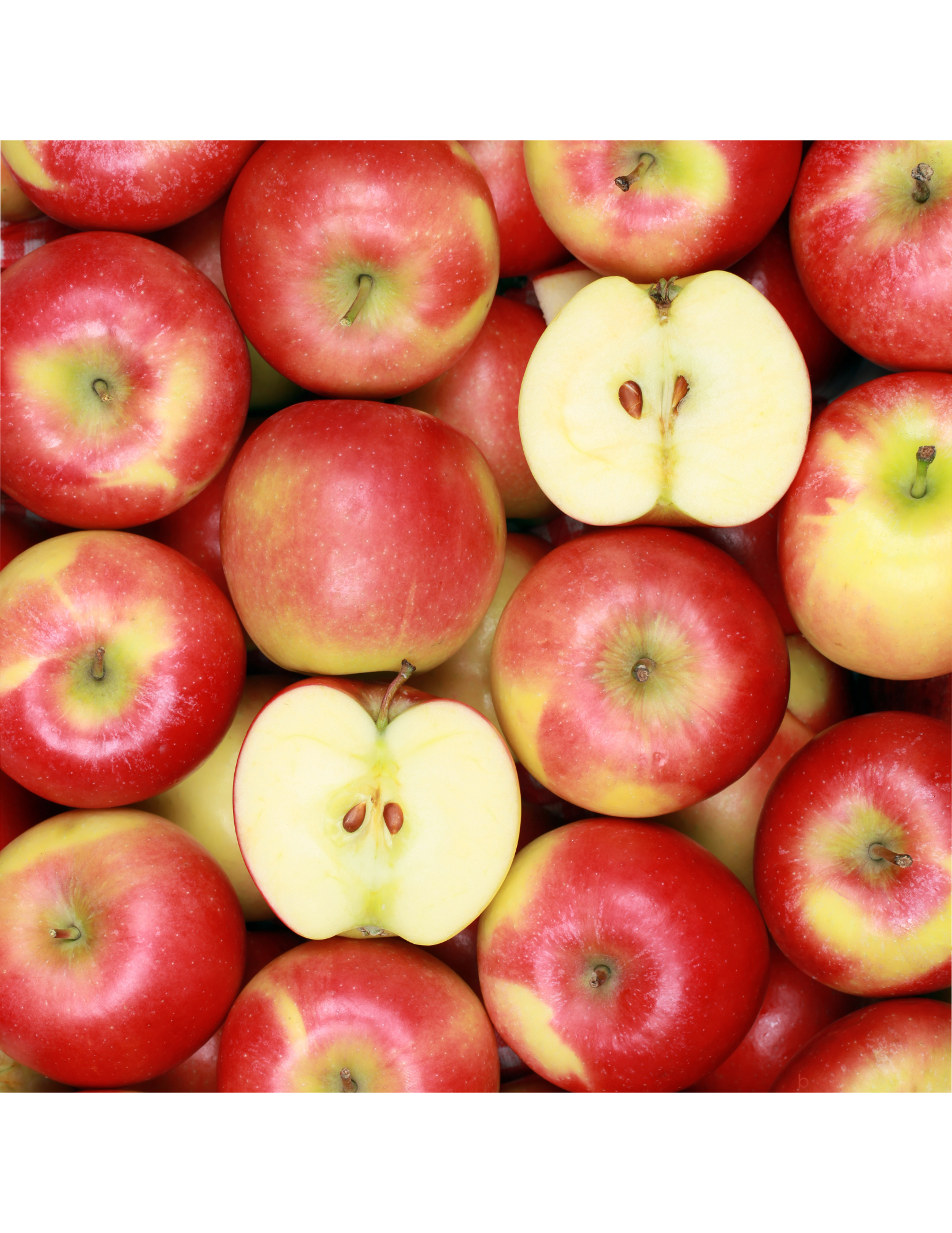 Picture of Apples